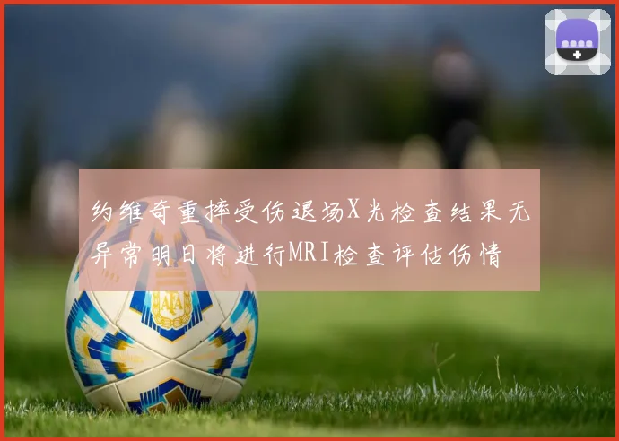 约维奇重摔受伤退场X光检查结果无异常明日将进行MRI检查评估伤情