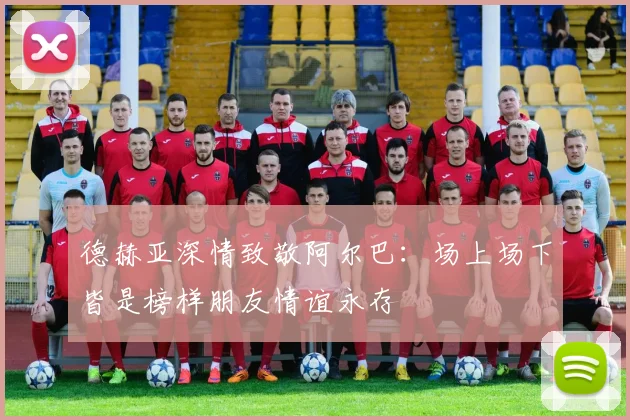 德赫亚深情致敬阿尔巴：场上场下皆是榜样朋友情谊永存