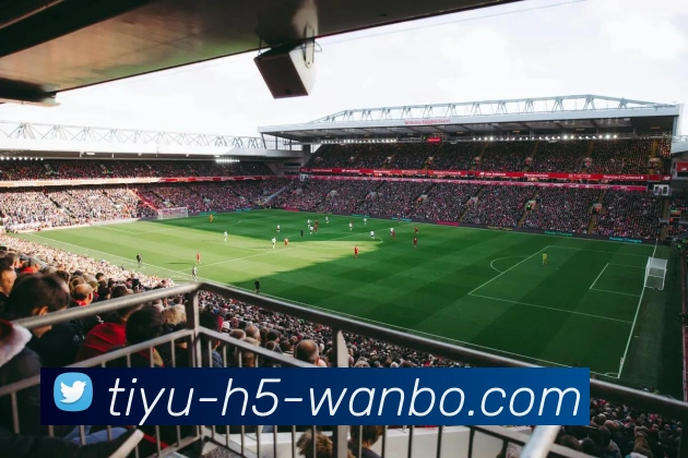 万博体育平台生态图